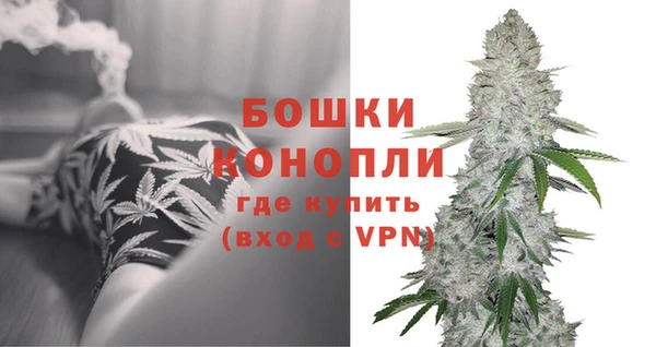 дживик Володарск