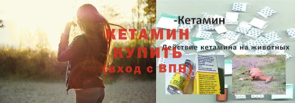 дживик Володарск