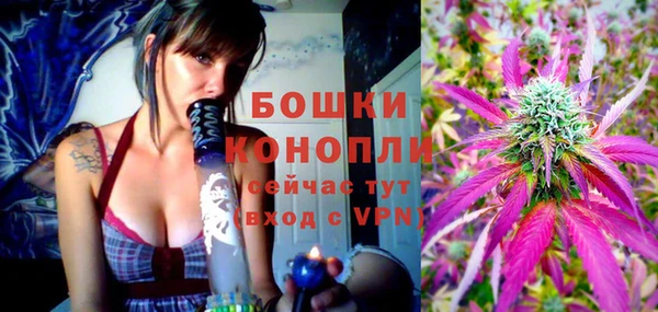 дживик Володарск