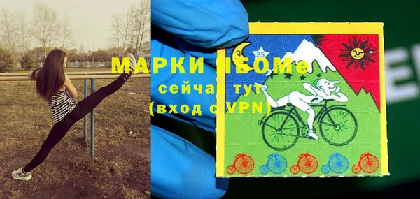 герыч Снежинск