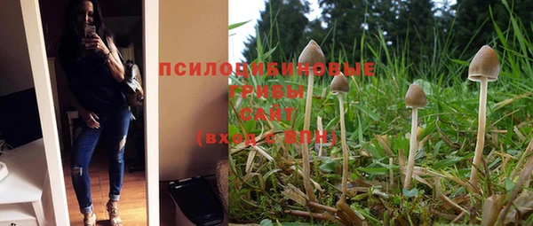 эйфоретик Волосово