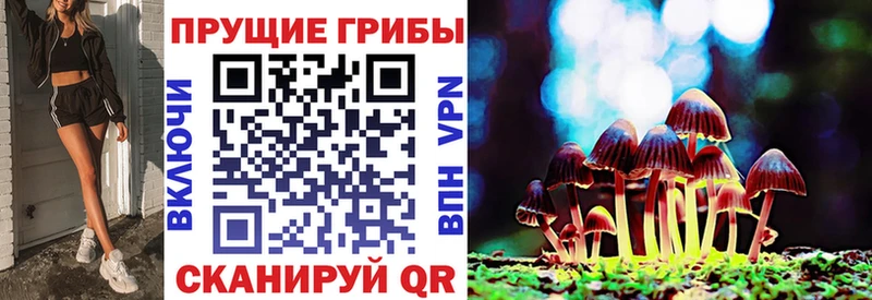 площадка официальный сайт  мега рабочий сайт  Гусь-Хрустальный  Псилоцибиновые грибы GOLDEN TEACHER 