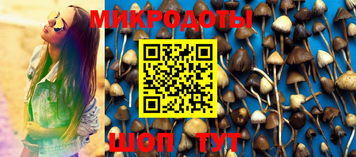 Псилоцибиновые грибы Magic Shrooms Гусь-Хрустальный