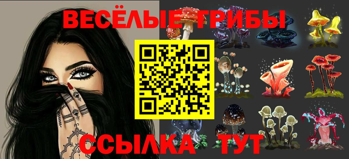 Alpha-PVP СОЛЬ кристаллы  Гусь-Хрустальный  Вход с VPN  ГАШ  ГАШИШ  Меф МЯУ МЯУ кристаллы  МАРИХУАНА 